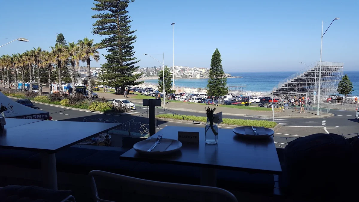 Vibe, Don Pedros Bondi