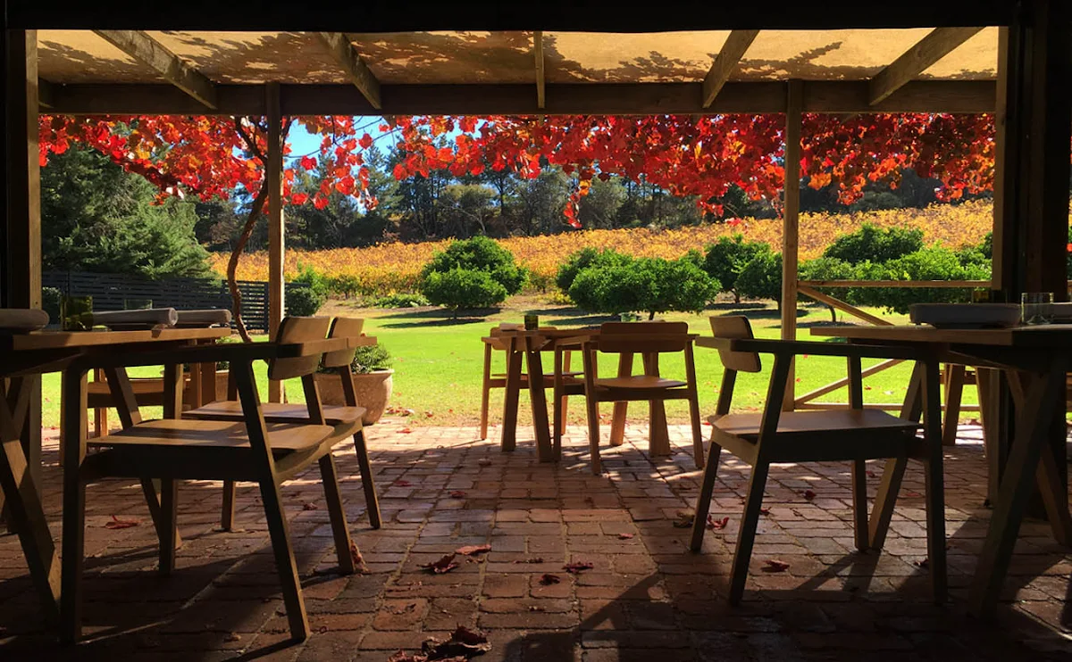 Vibe, The Currant Shed Restaurant