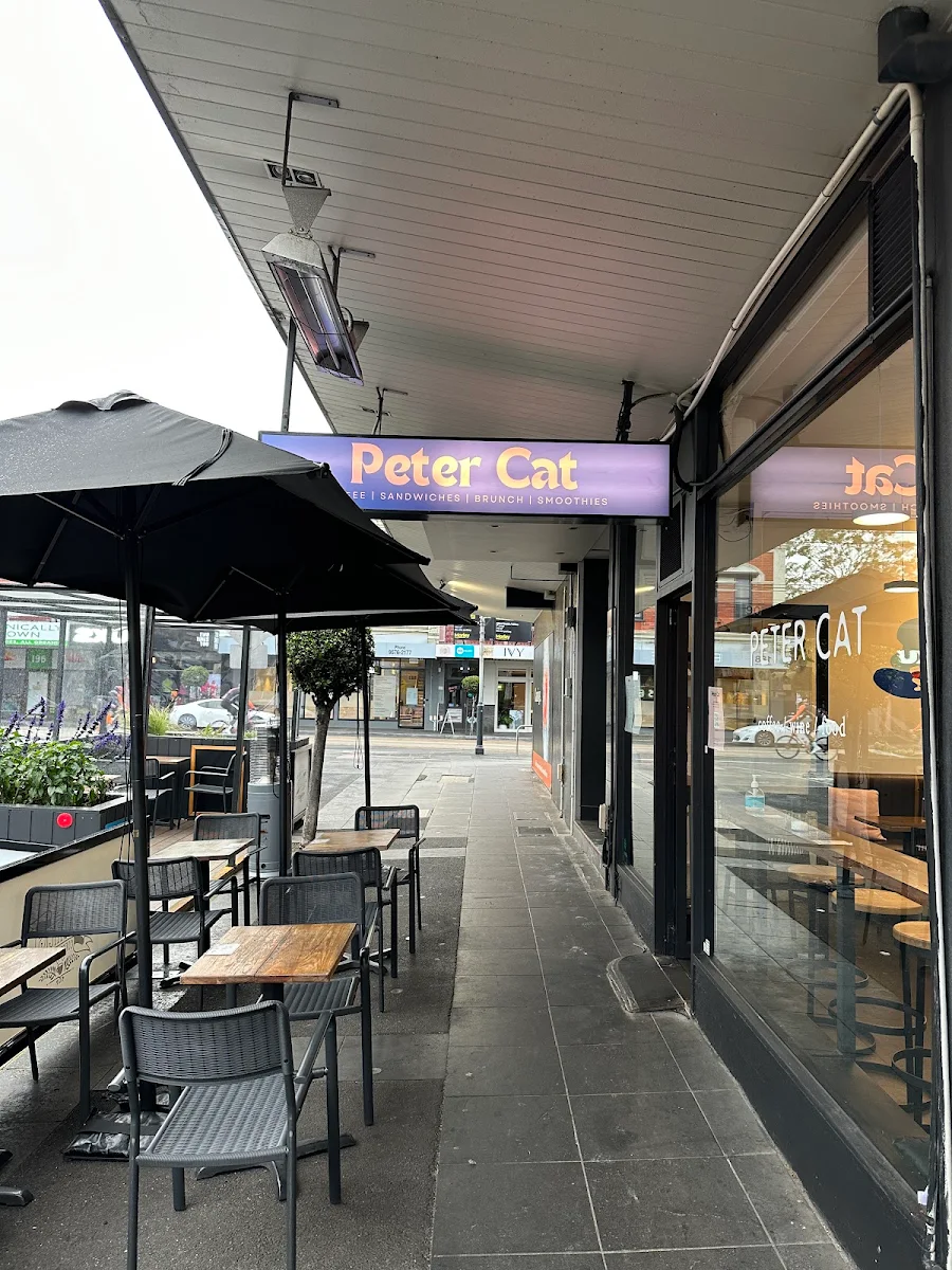Peter Cat cover