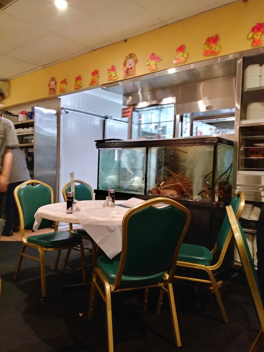 Vibe, Chin's Noodle House
