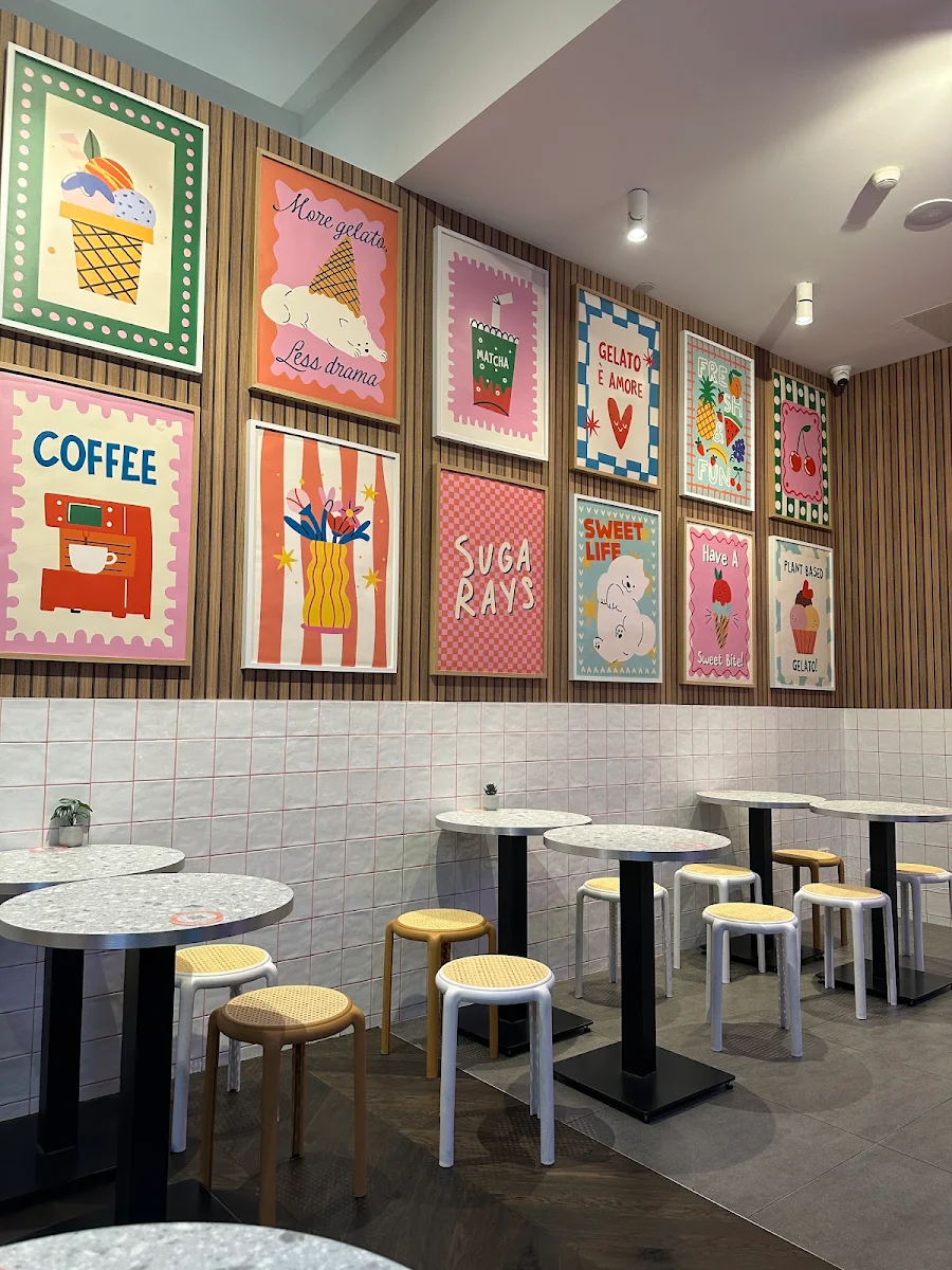 Vibe, Sugarays Plant-Based Gelato