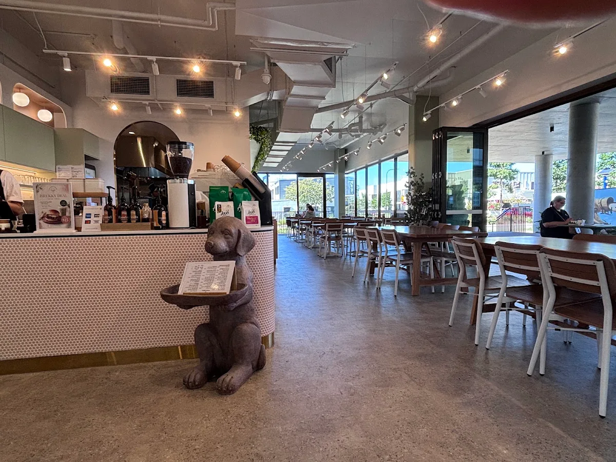 Vibe, Hallowed grounds cafe carseldine