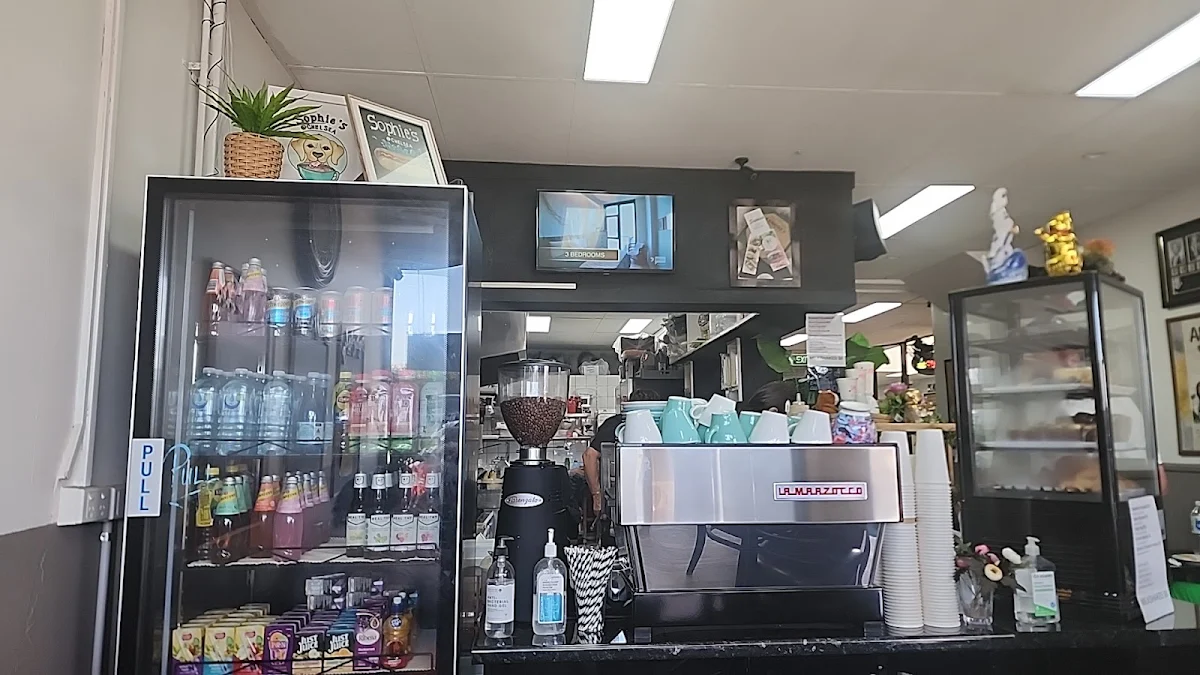 Vibe, Sophie’s Cafe Restaurant Chelsea