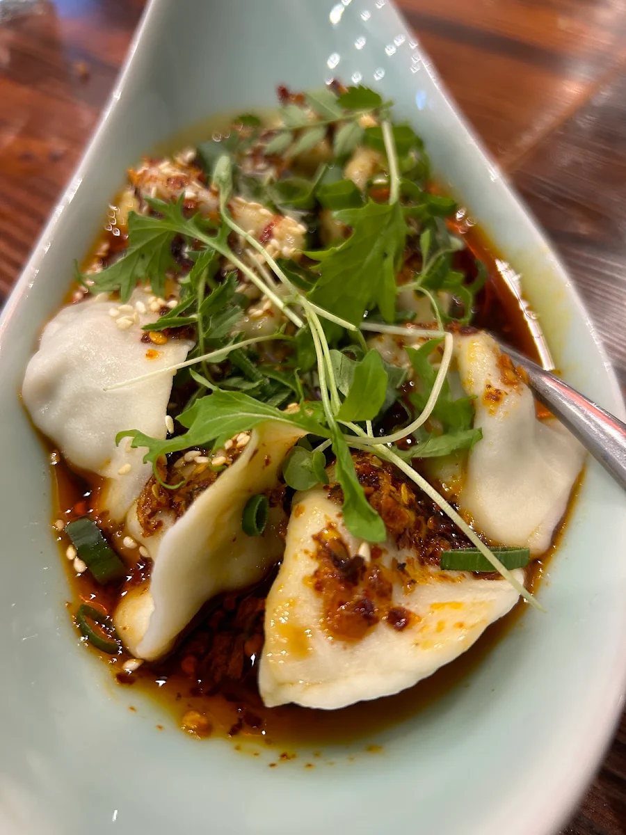 Food & drink, Tao Dumplings Brighton