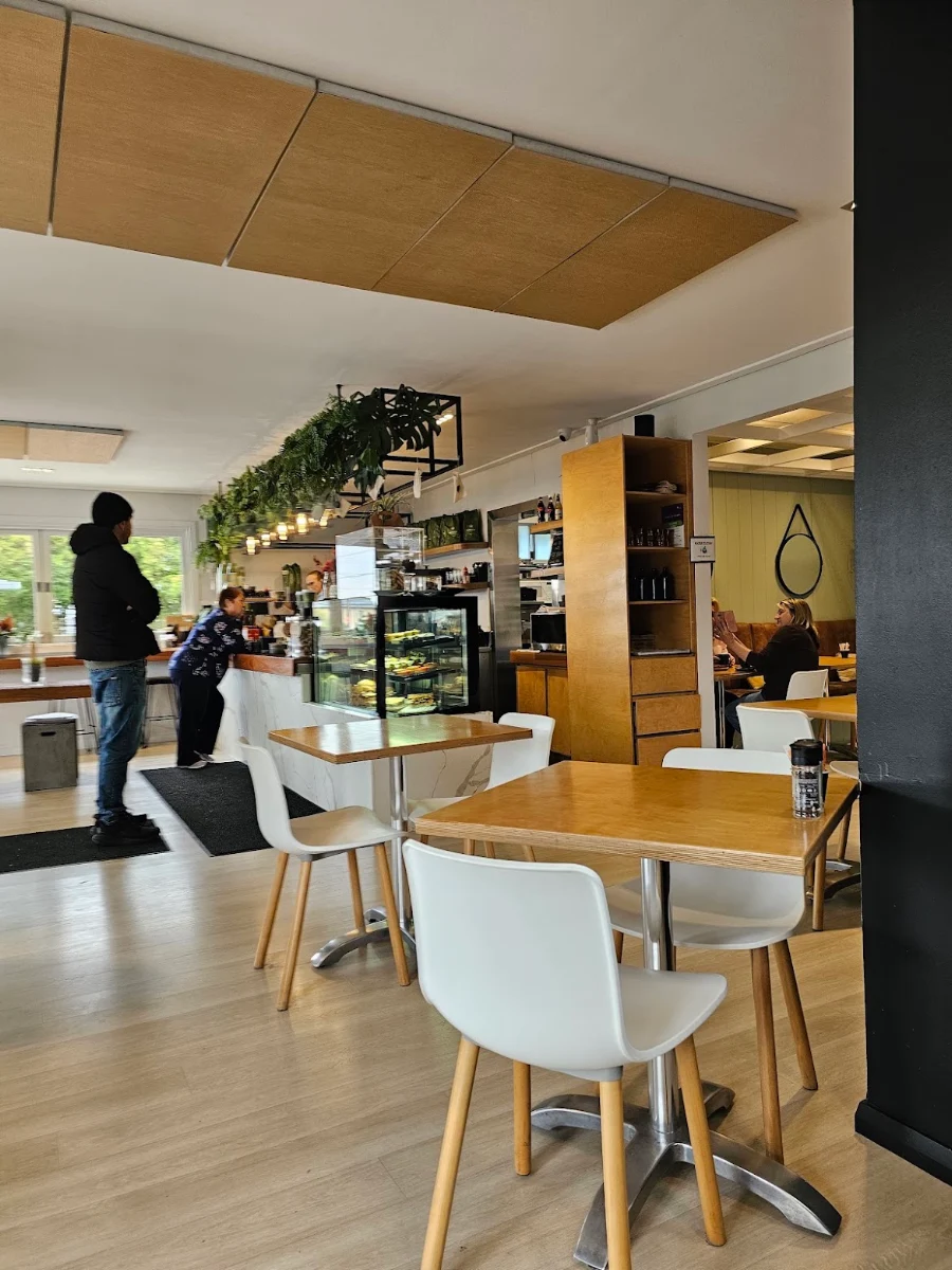 Vibe, Elatte Cafe