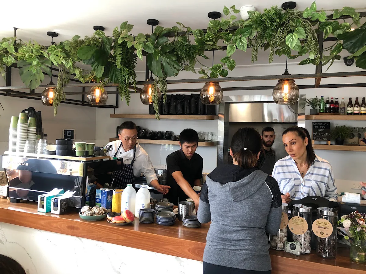 Vibe, Elatte Cafe