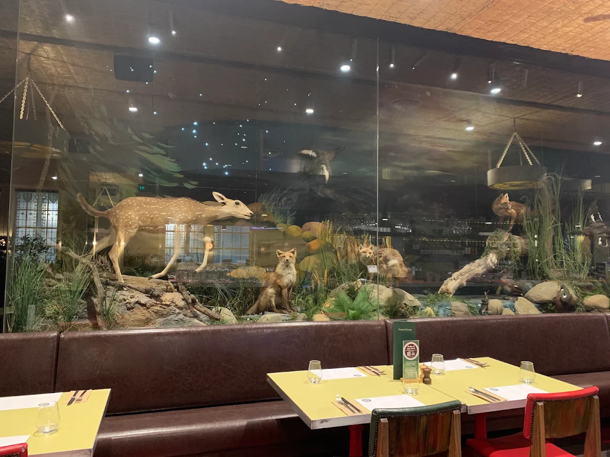 Vibe, Natural History Bar & Grill