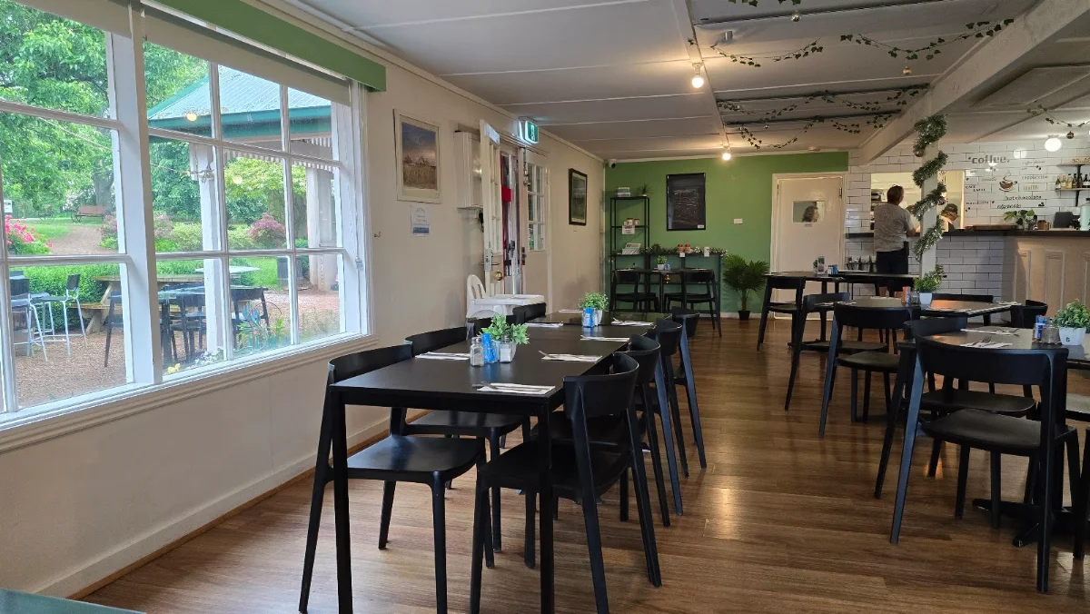 Vibe, Two Peas Cafe (Two Peas In Their Pod)