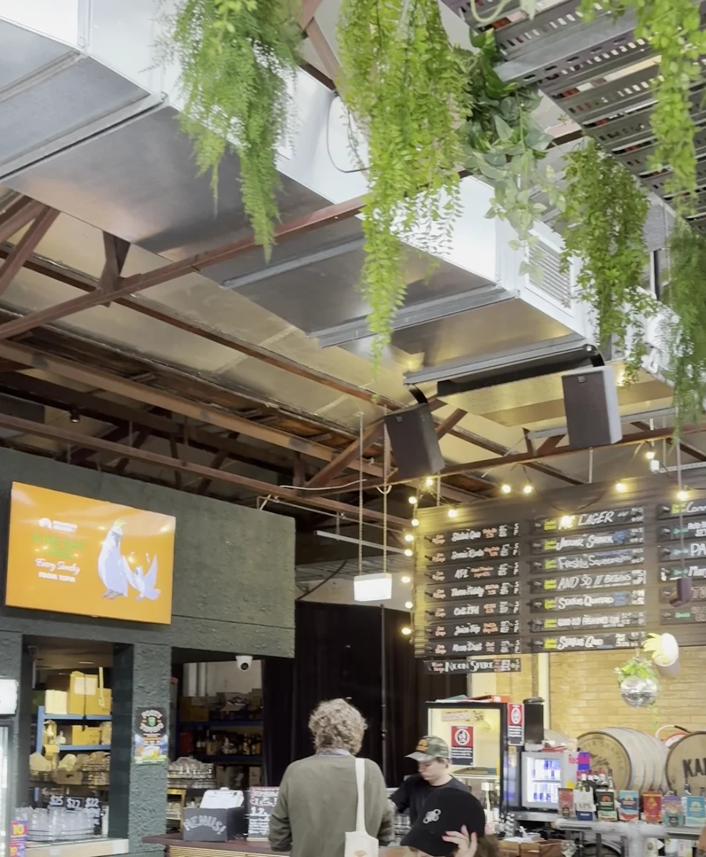 Vibe, Mountain Culture Brewery - Redfern