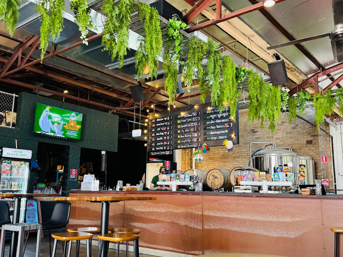 Vibe, Mountain Culture Brewery - Redfern