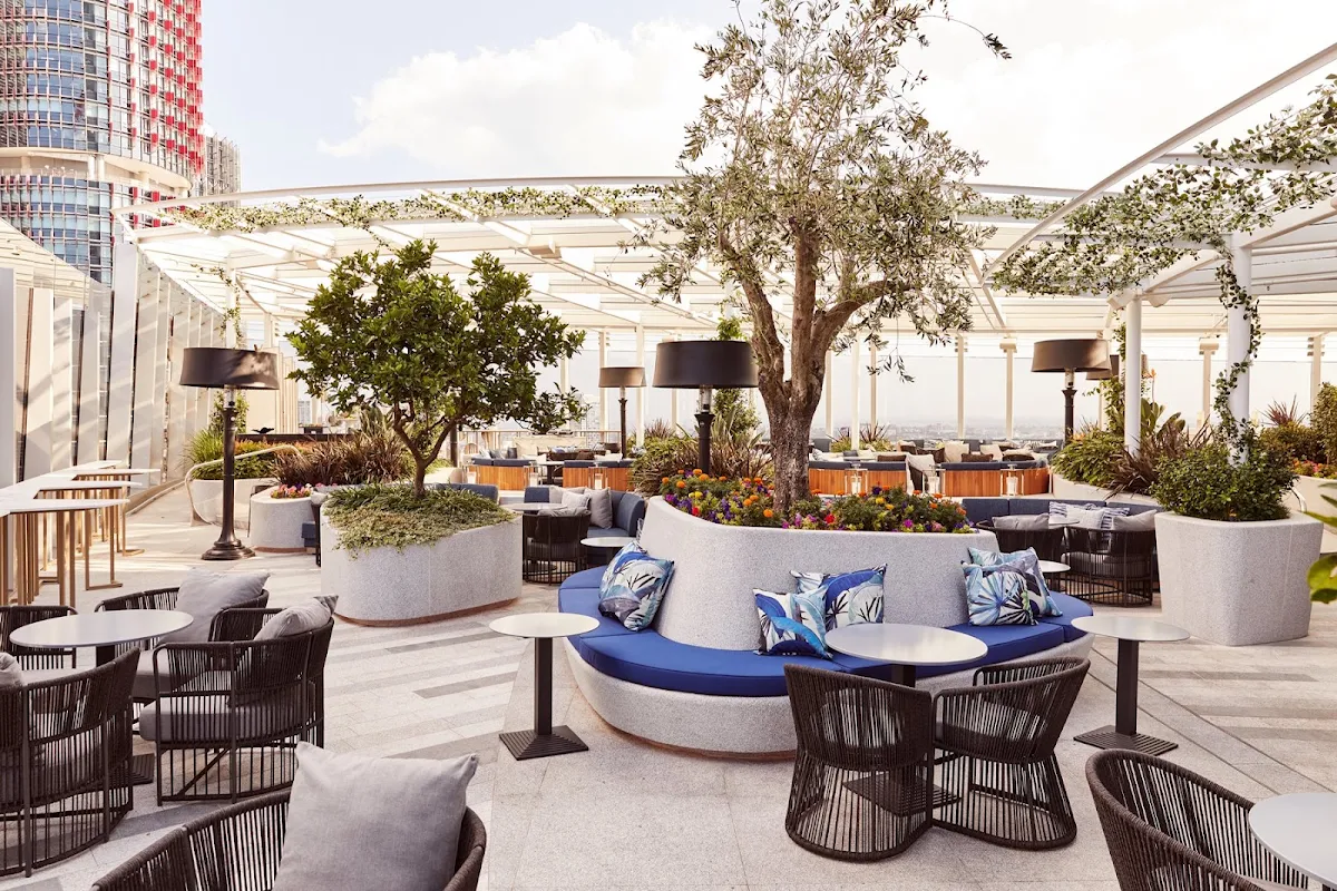 Vibe, CIRQ Rooftop Bar & Lounge