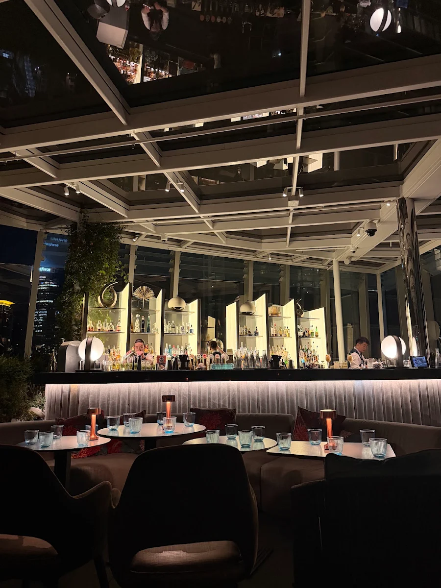 Vibe, CIRQ Rooftop Bar & Lounge