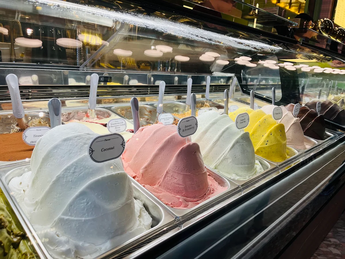 Vibe, Anita Gelato Victoria Cross