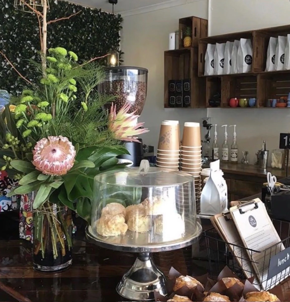 Food & drink, Coffee & Kitchen Ballina