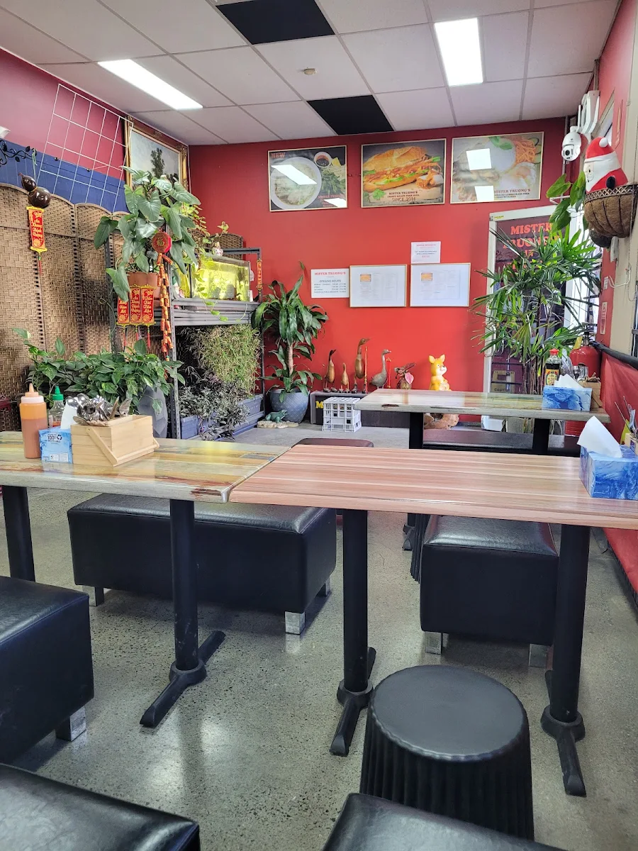 Vibe, Mister Truong's