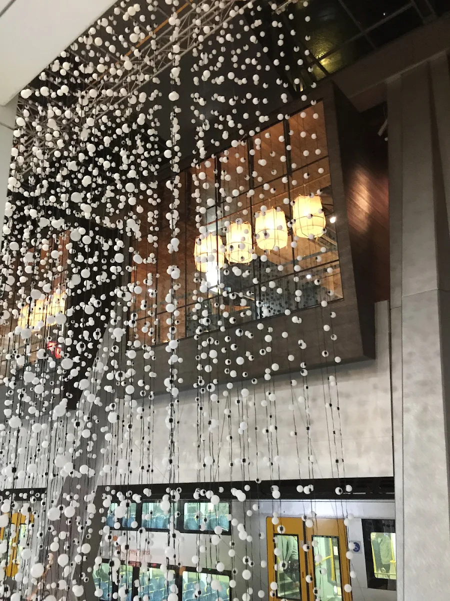 Vibe, District Dining