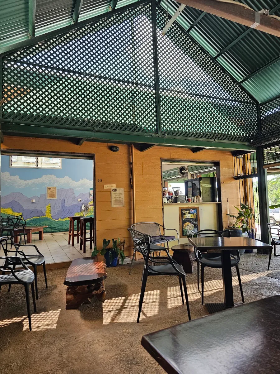 Vibe, Big forest cafe