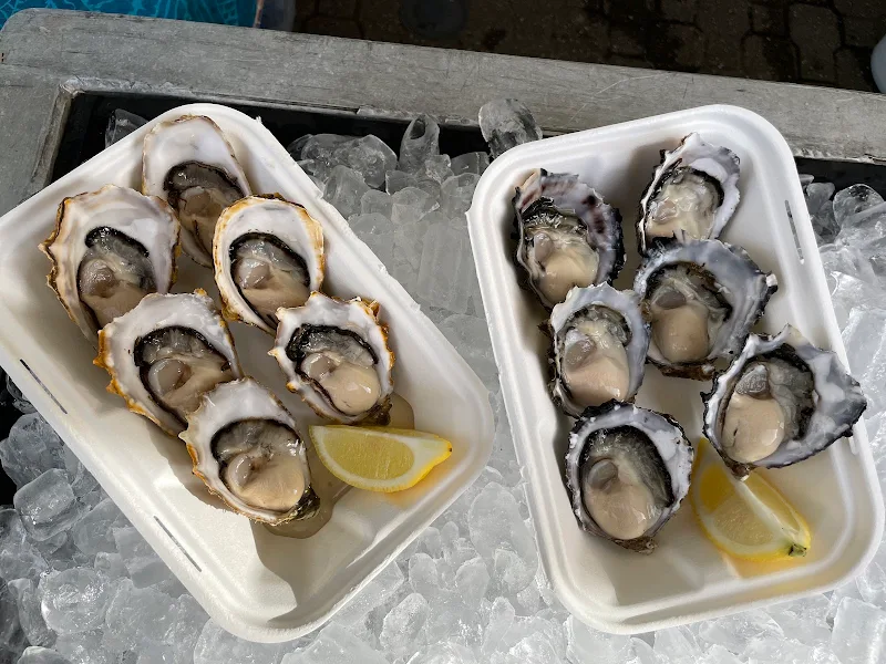 Ma Bruny Oysters