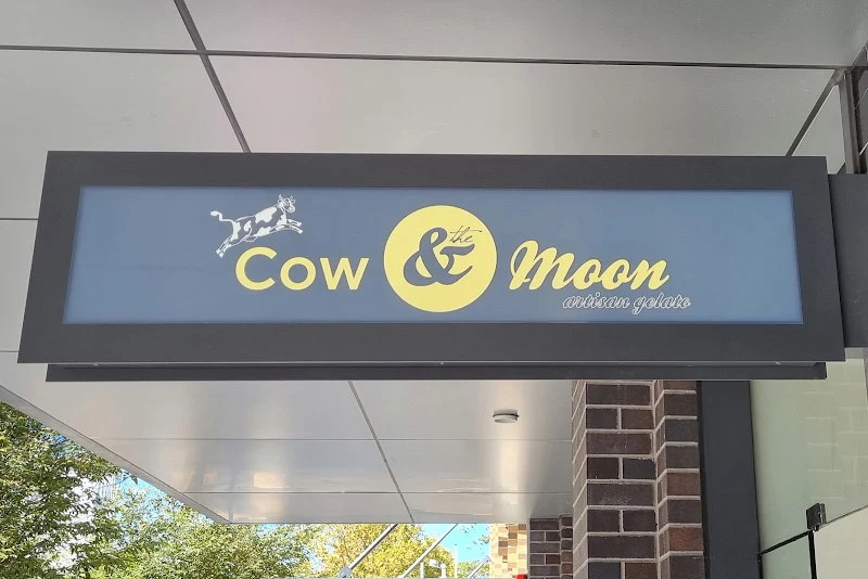 Cow & the Moon