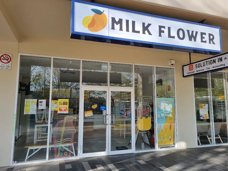 Milk Flower