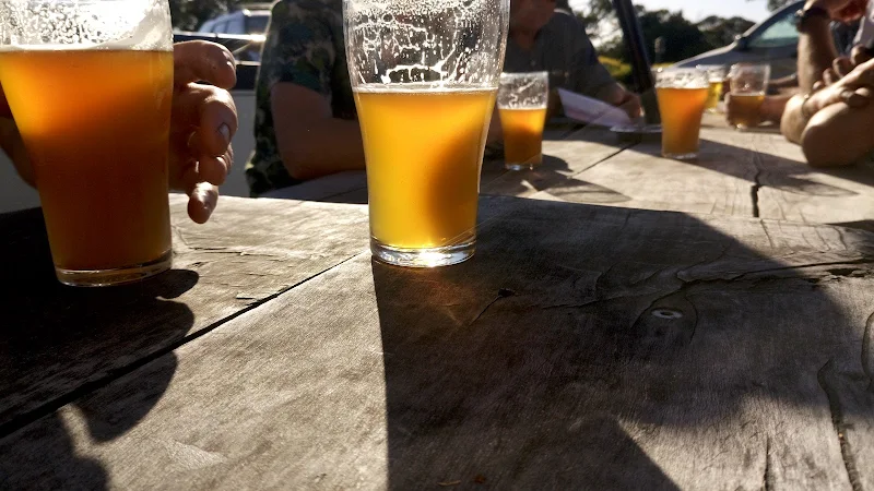 Malting Lagoon Brewing (sorry no cellar door)
