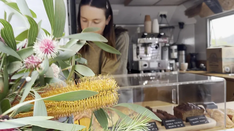cubed espresso bar