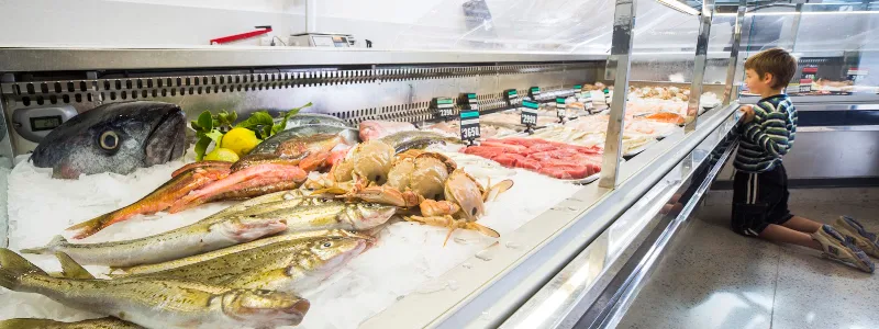The Fresh Fish Place