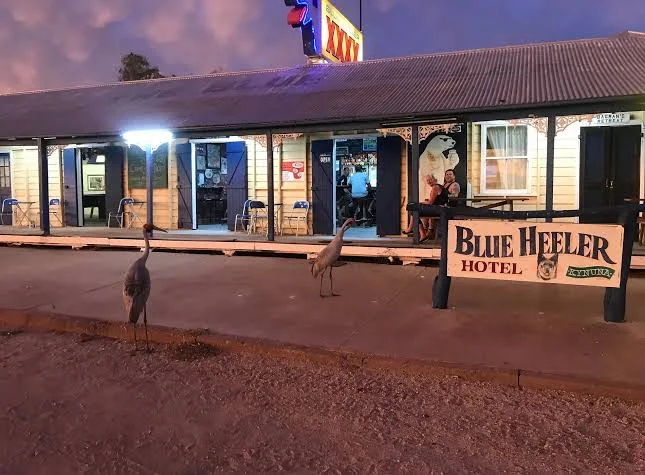 The Blue Heeler Hotel