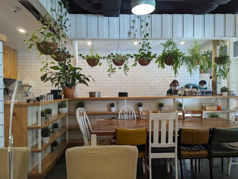 Avocado Moment Cafe