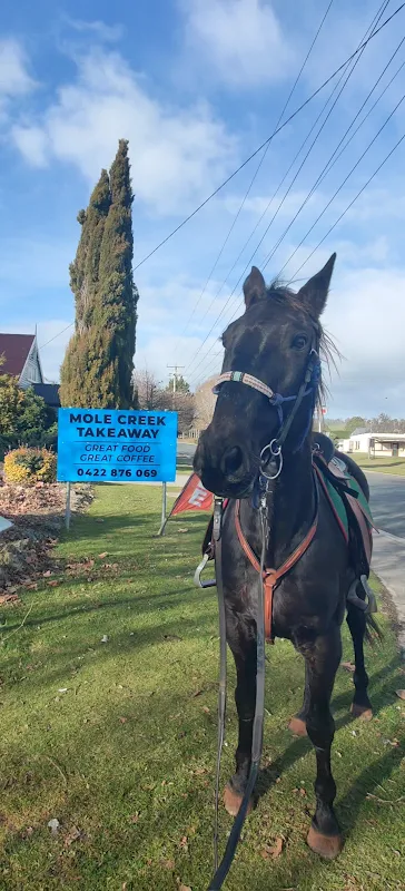 Mole Creek Takeaway