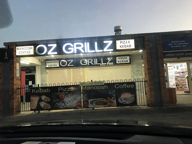 OZ GRILLZ