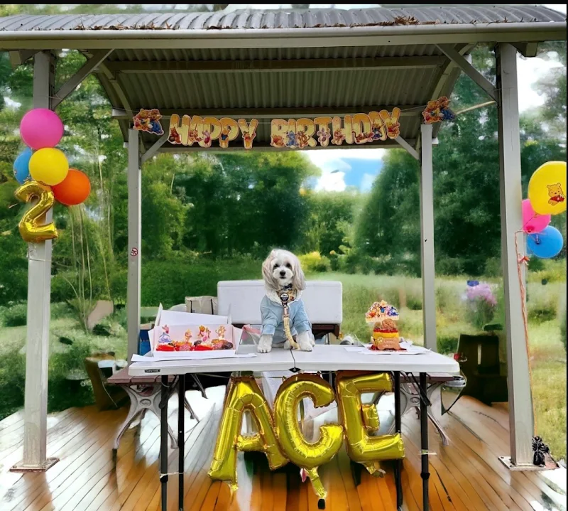 Pawsome Avenue