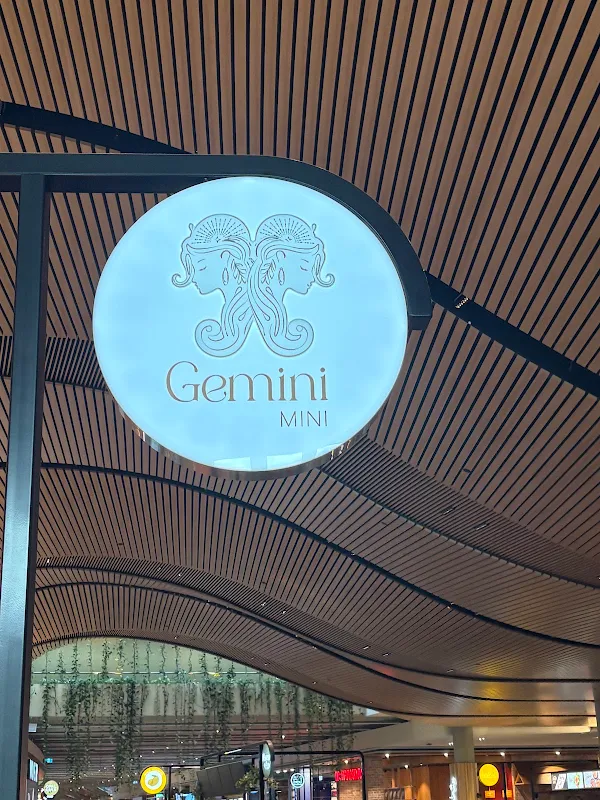 Gemini Mini
