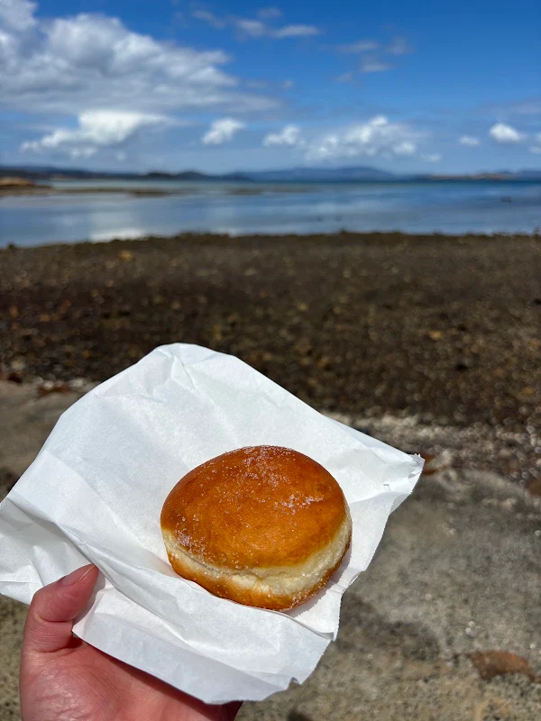 Taz Doughnuts