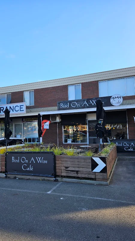 Bird on a wire Cafe