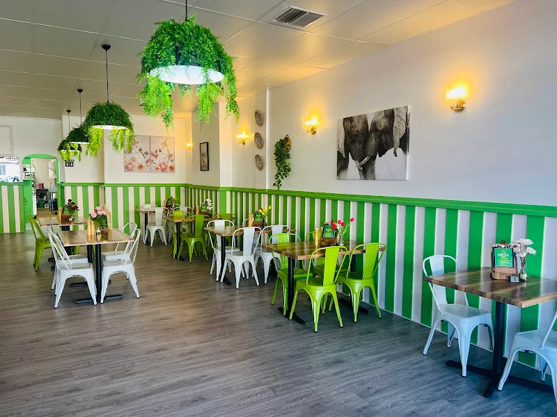 DK Dream Kitchen Restaurant
