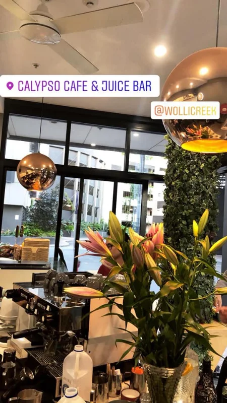 Calypso Cafe & Juice Bar