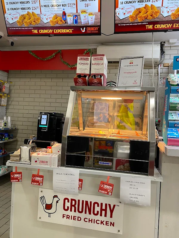 CrunchyFriedChicken By Astron Paynesville