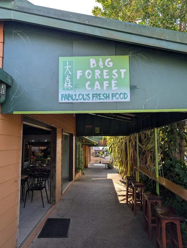 Big forest cafe