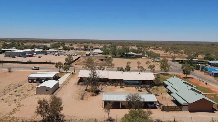 Simpson Desert Oasis