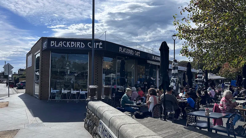 Blackbird Cafe