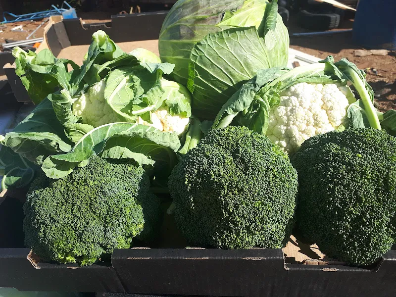 Nungarin fresh produce