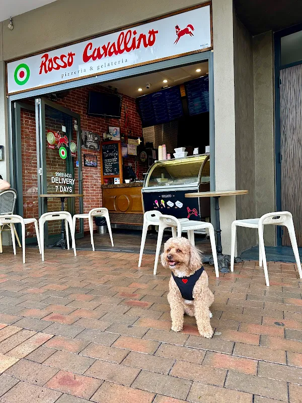 Rosso Cavallino Mosman