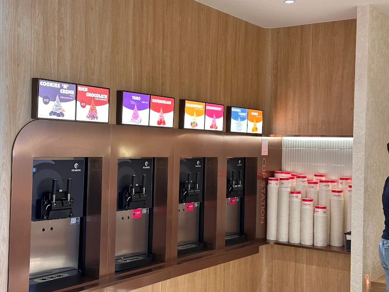 Yogurberry Casula