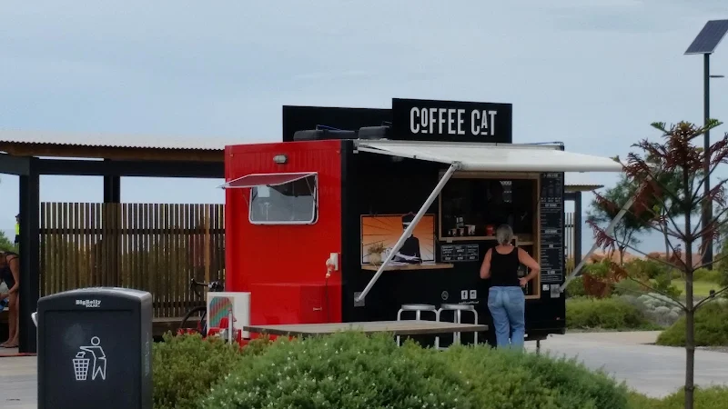 Coffee Cat