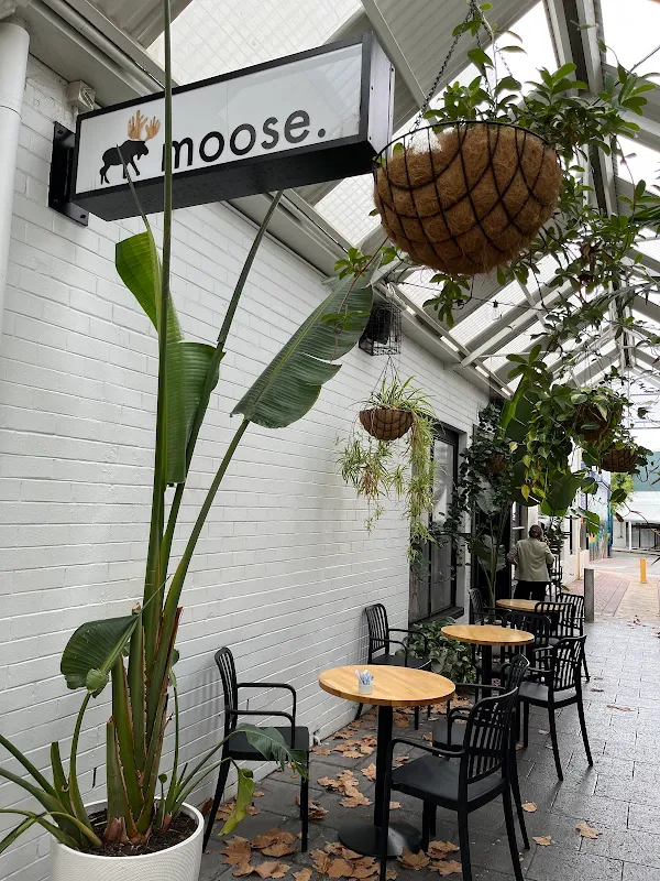 Moose Claremont