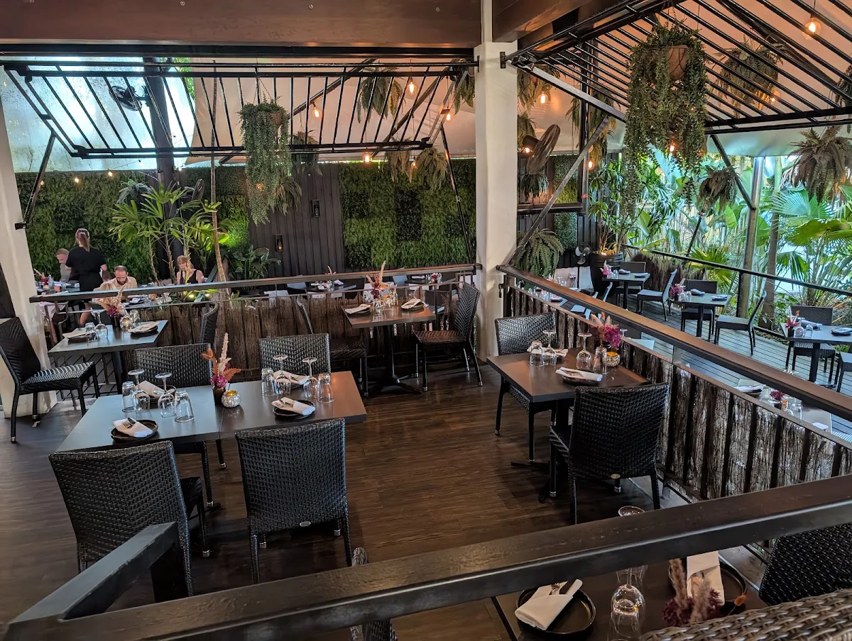 Vibe, Watergate Port Douglas