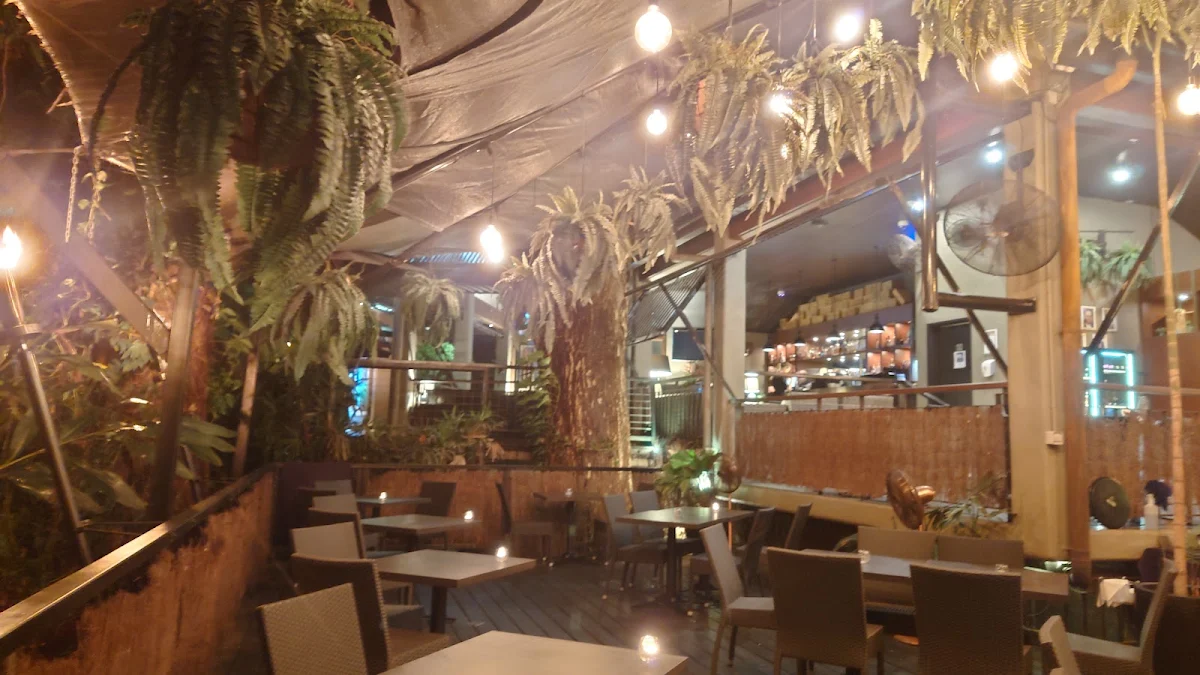 Vibe, Watergate Port Douglas
