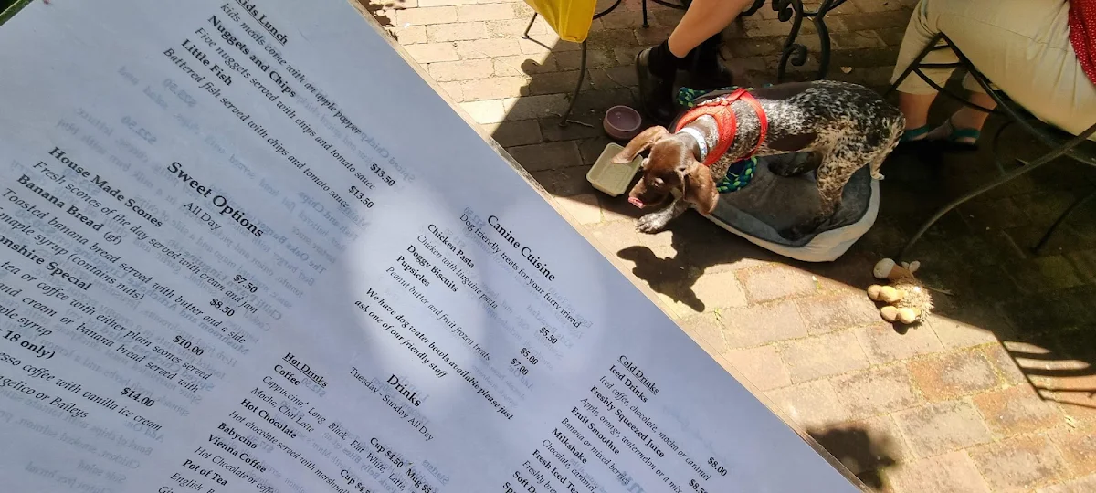 Menu, Yarralumla Gallery and Oaks Brasserie