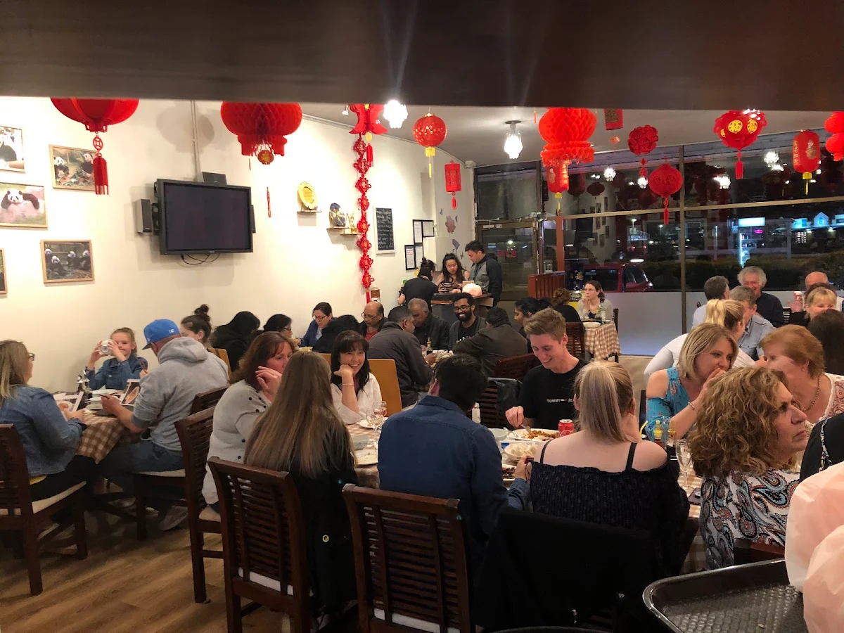 Vibe, Dumpling Palace